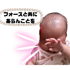 tora_20260508122404