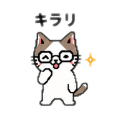 masa_20260508165347