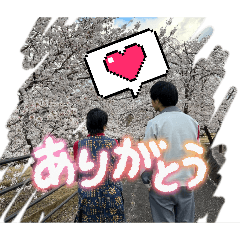Momo_20260508205502