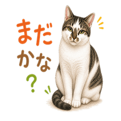 We Love Kijishiro