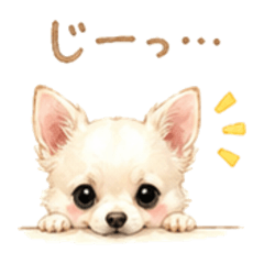 itsumi_20260507231537