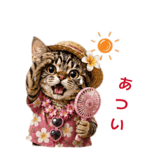 summer kitties