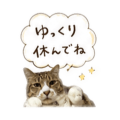 koppoppo