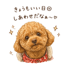 shiratamadesu._20260508000051