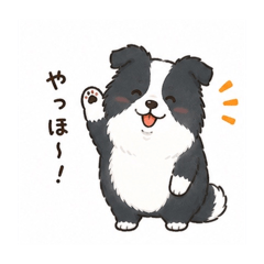 Plump dog_20260508002205