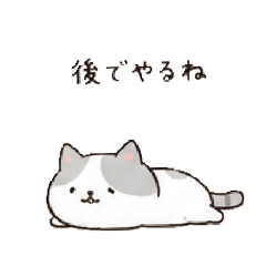 KUPO_20260508003620