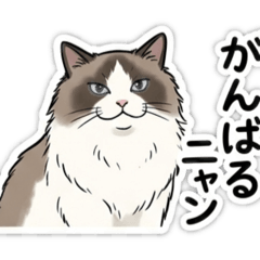 emyun_20260508005658