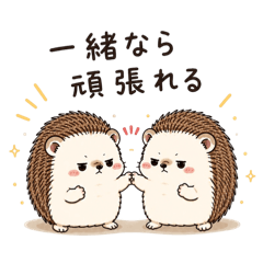 Kimi_20260508004752