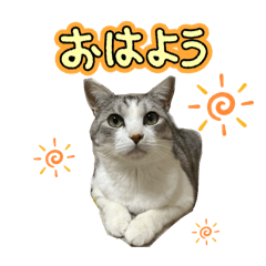 Mayu_20260508124954
