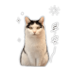 歐莉日常用語