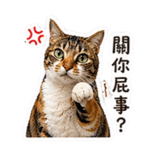 豆寶 （嗆人系列）