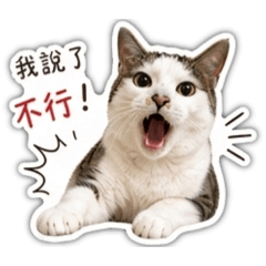 哈姆姆2.0