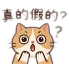 貓咪寧