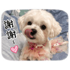 Mu 和LuLu ♡