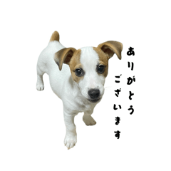 KOTARO_20260501
