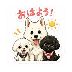 Risa_20260508083056