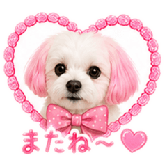 erina_20260508084026