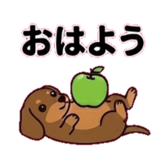 a green apple and a miniature dachshund