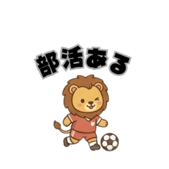 Ami_20260508094428