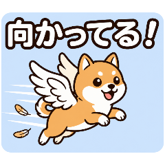 Flying Lucky Shiba: Meet in a Flash!