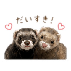 yuka_20260508111254