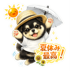Sabu (Chihuahua)'s summer vacation