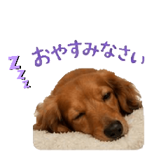 Riku&Kira_20260508145851