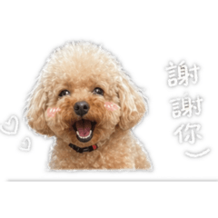 LUCKY專屬貼圖