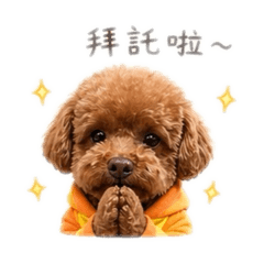 馬尼尼全記錄