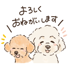 lovebeagle_20260508180038