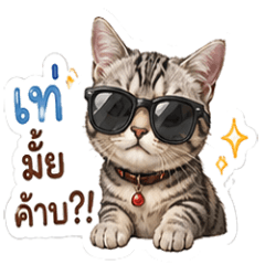 NongKaomao01
