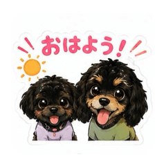 POPU_20260508215019