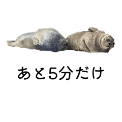 HKP_20260508215318