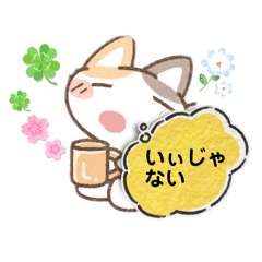 Haruo Shimada_20260508215147