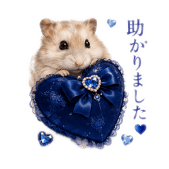 JUNKO_20260508234323