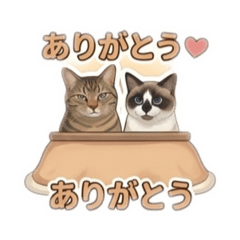 nai_20260508234432