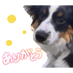 minami_20260508234522