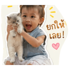 Lalin_20260428160805