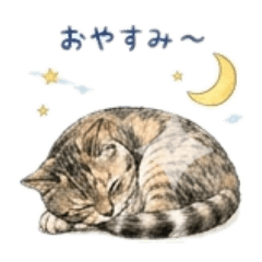 Happy Nyankos