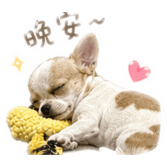 布布專門貼圖