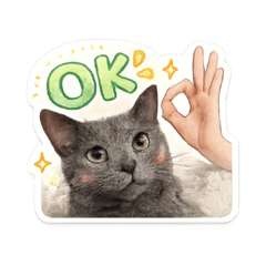 Soft Cat Replies & Reactions