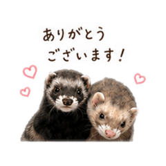 yuka_20260508120252