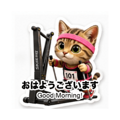 Workout Okinawa Animals