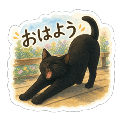 airport cat  docchan No.1