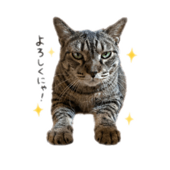 takappe117_20260508124257
