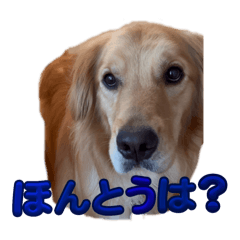 hibiwotumugu_20260508123114
