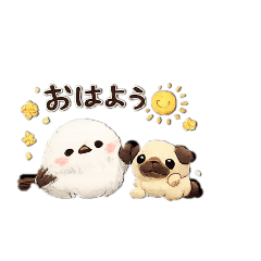 shima*_20260508125448