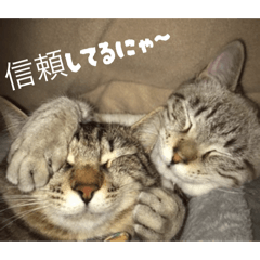 nyankichi.mama_20260508114046