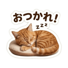 My life=Neko