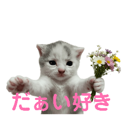 minmin_daisuki